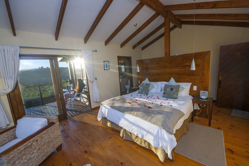 Elephant Hide Of Knysna Guest Lodge Экстерьер фото