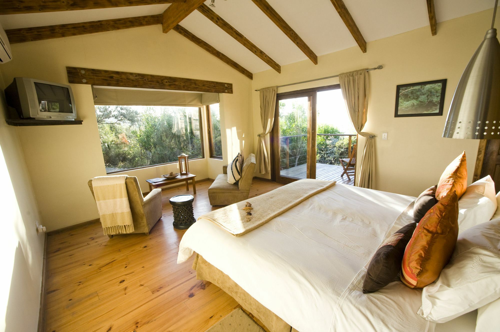 Elephant Hide Of Knysna Guest Lodge Экстерьер фото